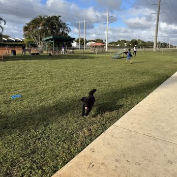 Craig Rupp K-9 Dog Park photo 1